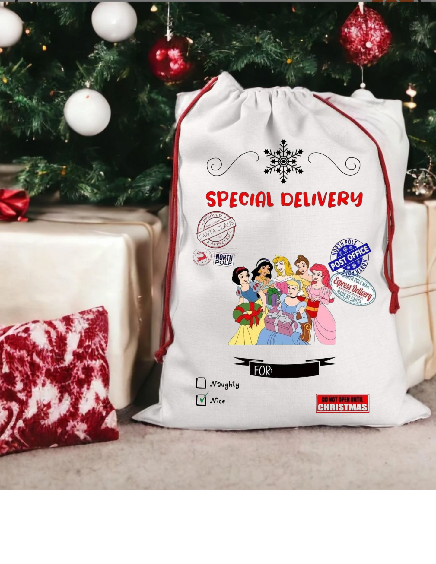 Christmas Character Customized Santa Sack