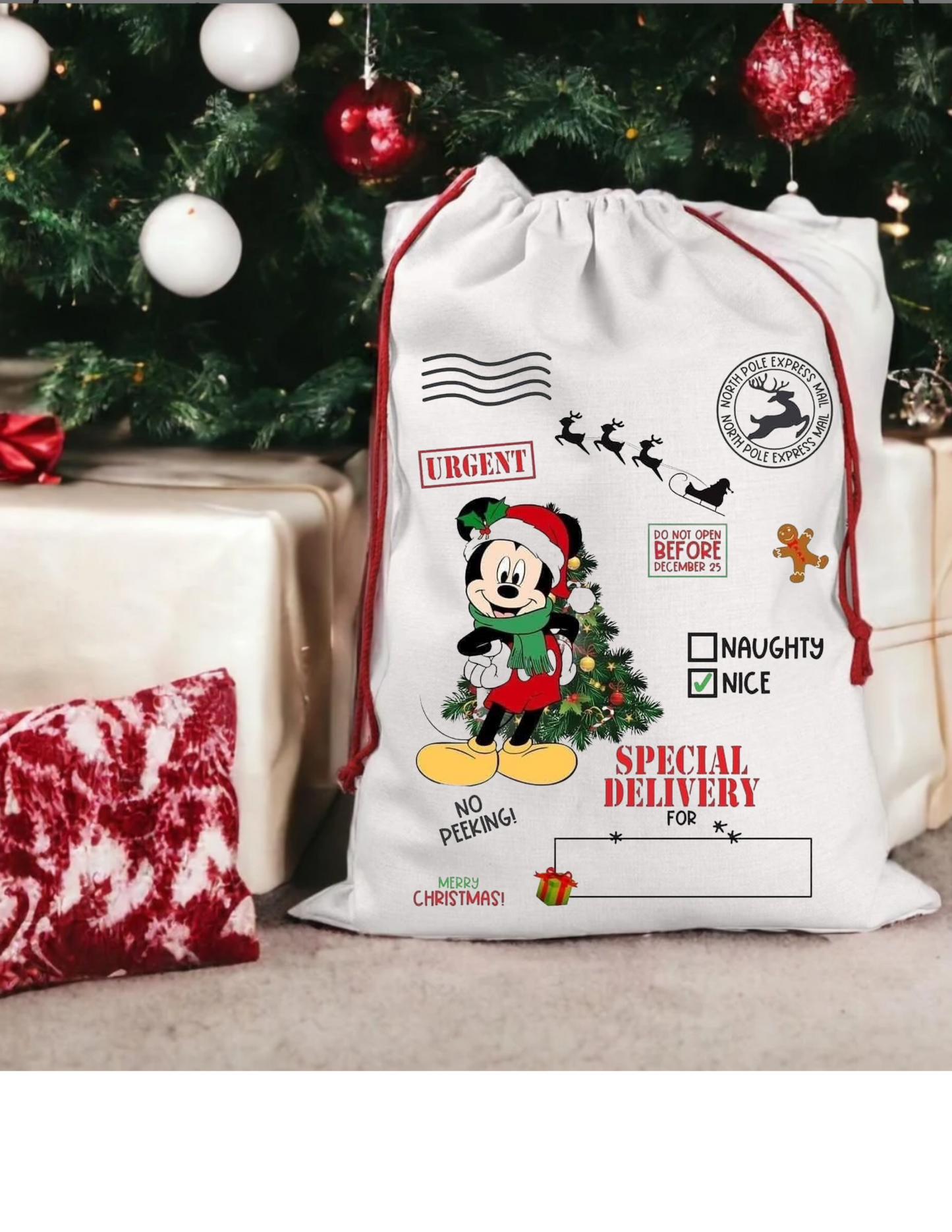 Christmas Character Customized Santa Sack