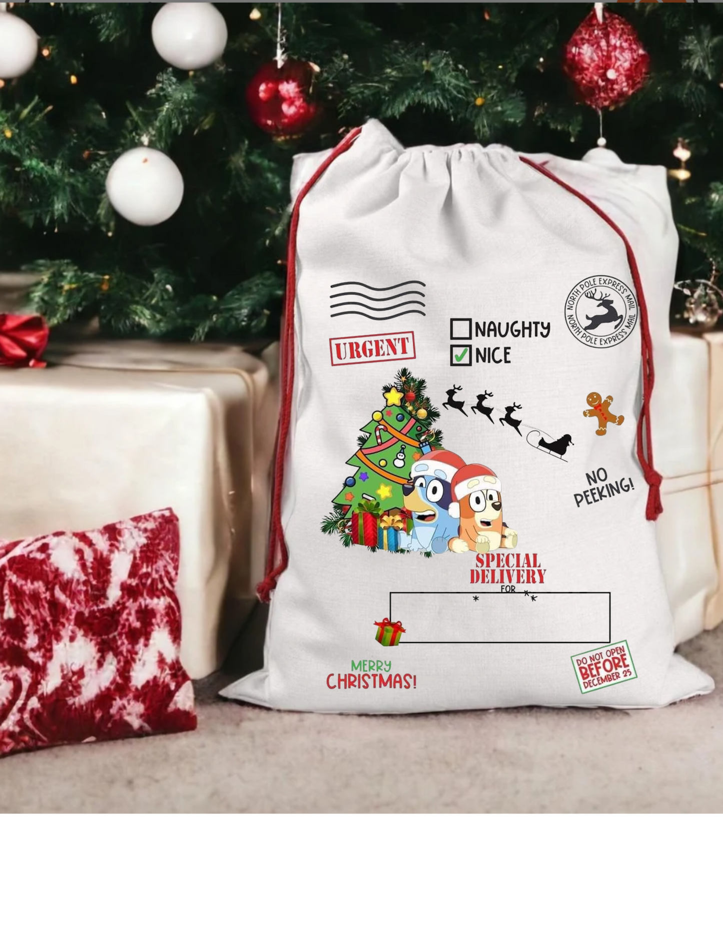 Christmas Character Customized Santa Sack