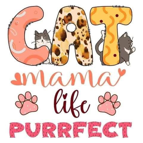 Pet mama