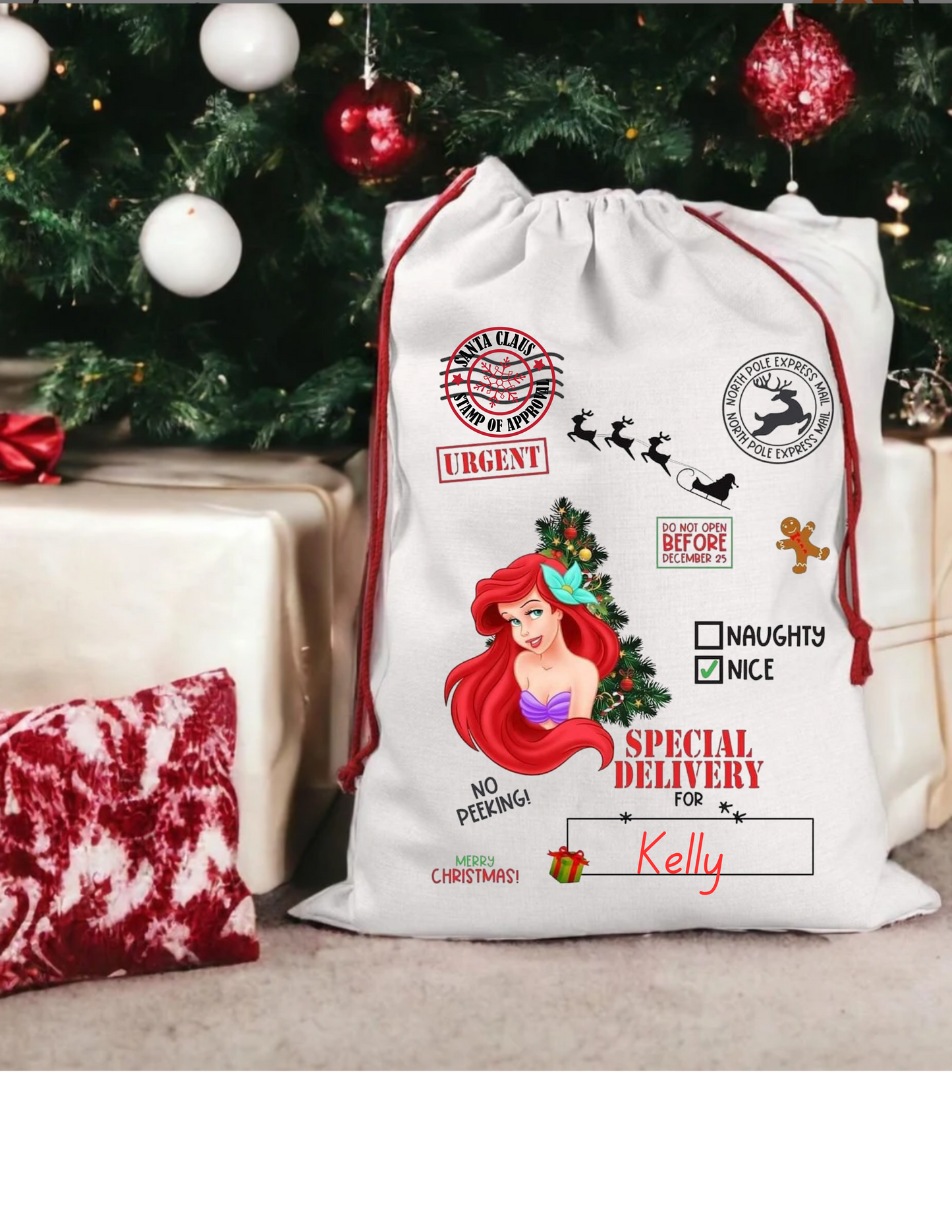 Other Christmas Character Santa Sacks